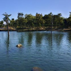 10/23　でっかいロックトラウトをキャッチ！ ～フィッシングパーク高島の泉～